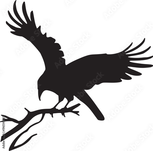 Silhouette of an eagle landing on a tree branch with outstretched wings and sharp talons grasping for balance