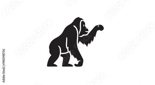 chipanzee with white backgroun and black coloure