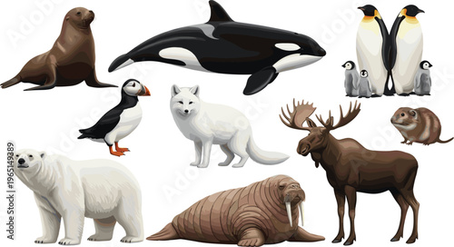 Arctic and Polar Animals Vector Collection with Orca, Polar Bear, Walrus, Seal, Penguin, Puffin, Arctic Fox, Moose, and Other Wildlife Illustrations for Digital and Educational Projects