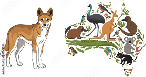 Australian Wildlife Vector Collection with Dingo, Kangaroo, Koala, Emu, Crocodile, Birds, and Native Animals, Illustrated Map of Australia with Nature and Digital Design Elements