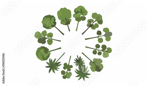Modern landscape trees top view icons in circular layout with canopy elements for garden and site design plans