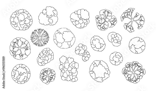 Minimal landscape trees top view vector set with canopy elements for garden layout and site planning design