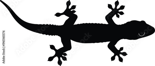 Black gecko silhouette illustration, reptile climbing symbol, lizard design, wildlife art, exotic animal icon, nature biology graphic