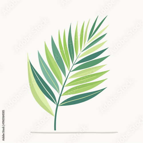 A vibrant green palm leaf illustration on a plain background, representing nature and tropical themes