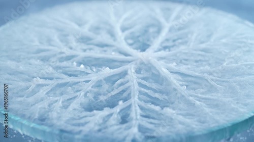 Ice pattern resembling frozen leaf branches