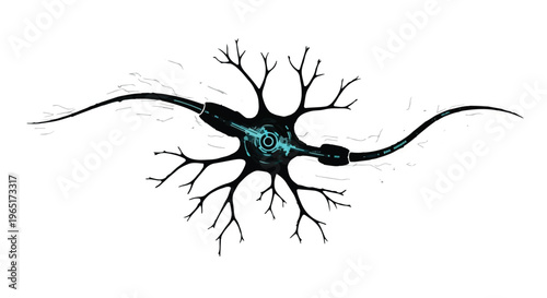 Detailed neuron illustration shows a nerve cell with dendrites and an axon on a white.