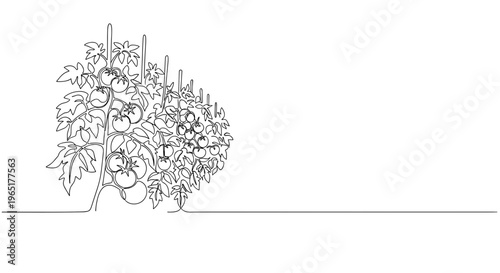 Vegetable garden bed with plants line art on minimal background