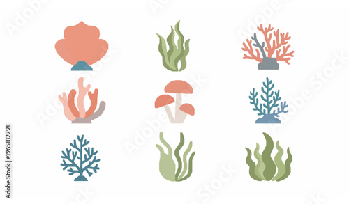 Minimal flat coral reef algae and seaweed vector collection in pastel colors isolated on white