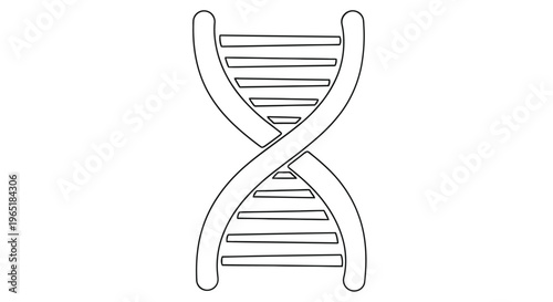 Simple line drawing of a dna double helix structure biology illustration