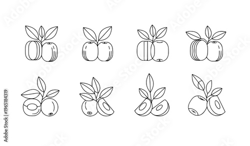 Modern geometric jujube fruit vector illustration abstract berry shapes minimalist line art design