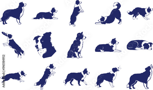 Blue Silhouette Border Collie Dog isolated