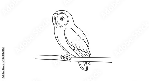 owl sitting on a branch