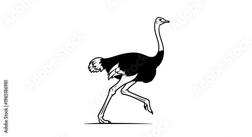 running ostrich silhouette