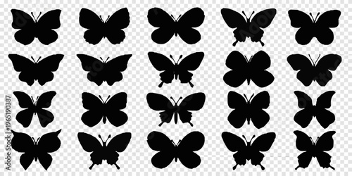 Collection of black butterfly silhouettes arranged in a grid pattern