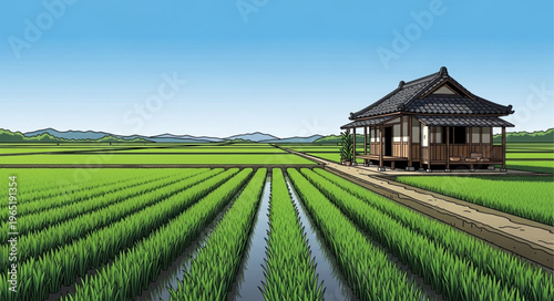 Fotografie rice fields in thailand