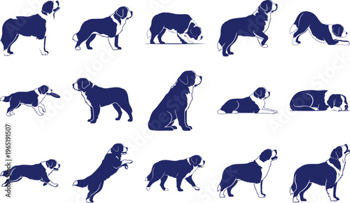 Saint Bernard dog poses blue silhouette white background 1
