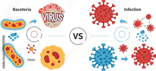 فيروس مقابل بكتيريا مقارنة توضيحية مع مخططات العدوى، الخلايا المضيفة، انتقال المرض، والعوامل الممرضة للاستخدام الطبي والتعليمي والتصميم الصحي