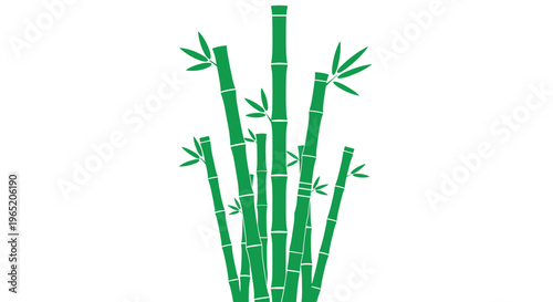 Bamboo Stems and Leaves Illustration.