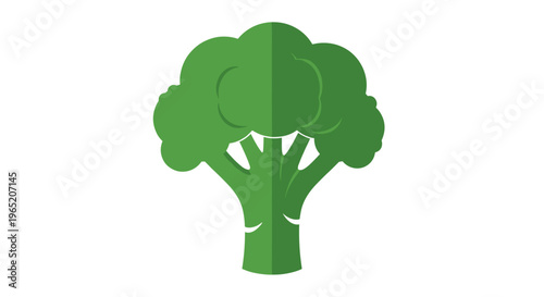 Green Broccoli Vegetable Icon 1.