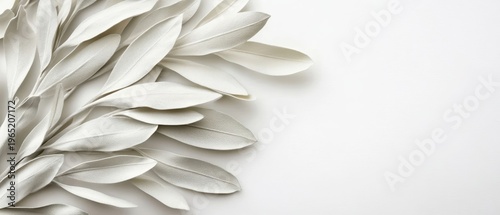 White paper flowers elegant white paper flowers artfully arranged on a clean white backdrop