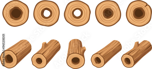 Wood log cross section and trunk set, tree rings natural texture collection, timber cut pieces illustration, forestry material design