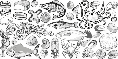 A diverse collection of hand drawn seafood and marine life illustrations