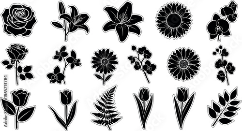 Collection of black and white flower and leaf rose lily orchid sunflower daisy