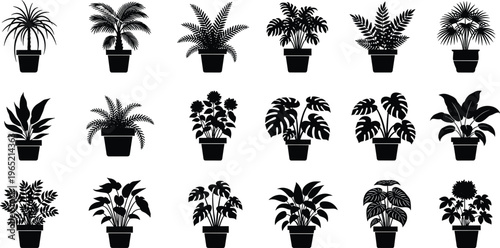 Set of black potted plant silhouettes, indoor tropical houseplants vector illustration, botanical foliage collection isolated on white background high quality