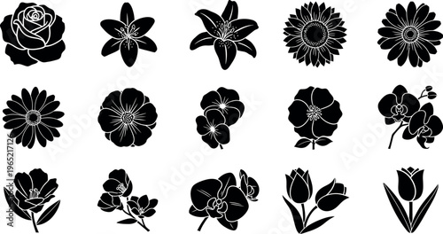 Collection of black flower silhouettes on white background rose