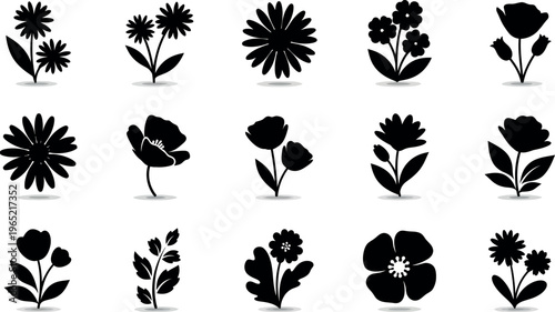 Collection of black flower silhouettes with subtle shadows white background