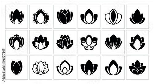 Collection of black lotus flower on white background lotus flower floral black and white