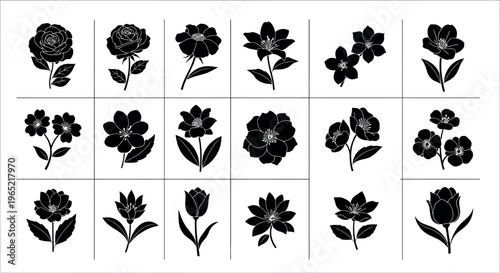 Collection of black silhouette flower on white background rose