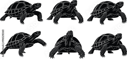 Collection of Detailed Tortoise Silhouettes Featuring Turtles in Different Walking Poses and Angles for Wildlife Conservation Nature Illustration and Reptile Animal Species Design Projects