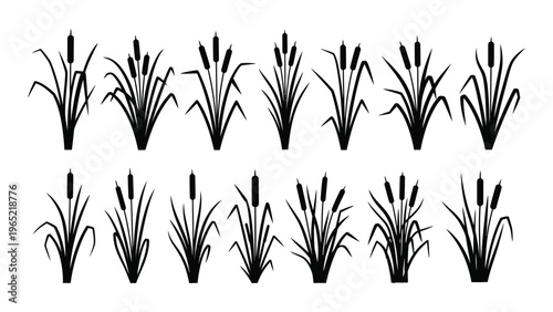 Set of cattail silhouettes in two rows on white background