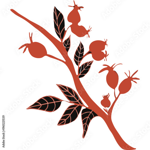 Rose-hip branch.Vector illustration .Suitable for a medicinal cosmetics logo or botanical illustration.