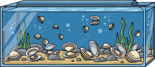 A clear glass tank filled with blue water, sand, rocks, and many open and closed shells