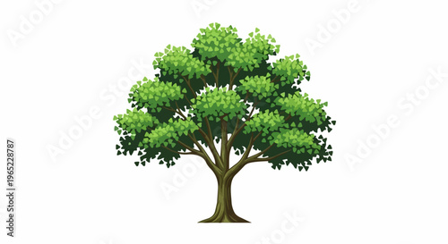 A lush green deciduous tree with a sturdy trunk and expansive canopy