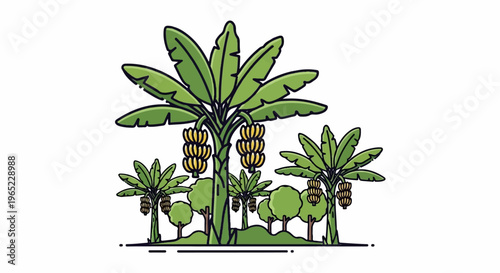 A stylized illustration of a tropical plantation with banana trees laden with fruit