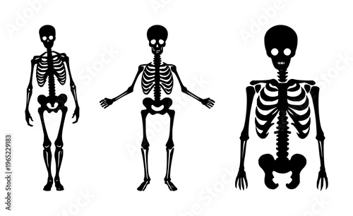 Human bone skeleton icon set with solid black line art design featuring anatomy, skeleton, medical illustration with healthcare and education