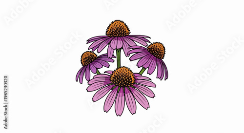 Five vibrant purple coneflower blossoms with detailed orange centers arranged in a circular cluster