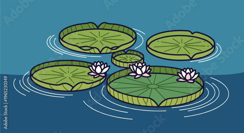 Lily pads and blossoms float serenely on tranquil blue water