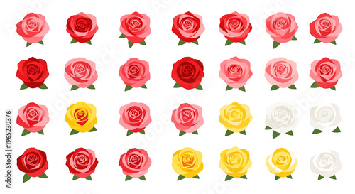 Collection of various colorful rose flowers in full bloom, top view, isolated.