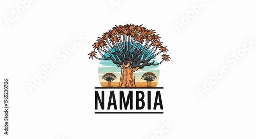 Iconic quiver trees against a sunset sky