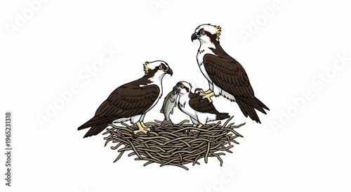 Osprey family in nest with a fish for young