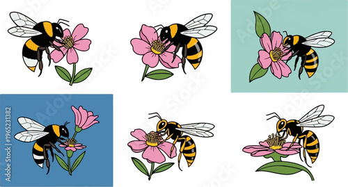 Diverse bumblebees and wasps gather nectar from pink flowers on varied backgrounds