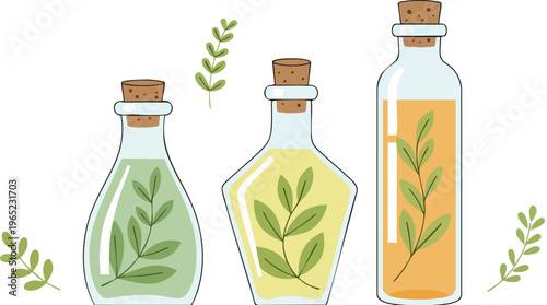 PrintThree stylized glass bottles containing different colored essential oils or natural herbal infusions stoppered with corks and decorated with delicate green leaves.
