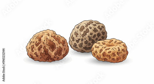 Three morel mushrooms with textured caps and stems on white background