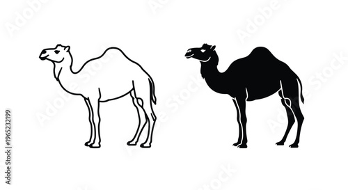 Dromedary camel animal silhouette icons - Editable line icons. Vector illustration - Glyph and solid icon set - Icon vector