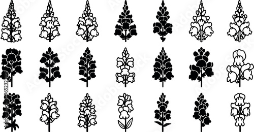 Black and white floral in rows flowers plants