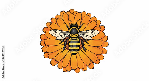 A cartoon bee with black and yellow stripes lands on an orange daisy